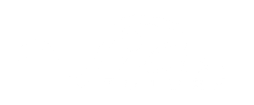 Vi.cla Future